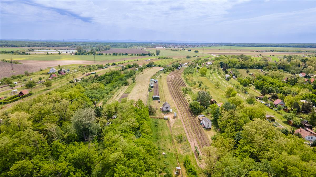 dji-0238-hdr.jpg