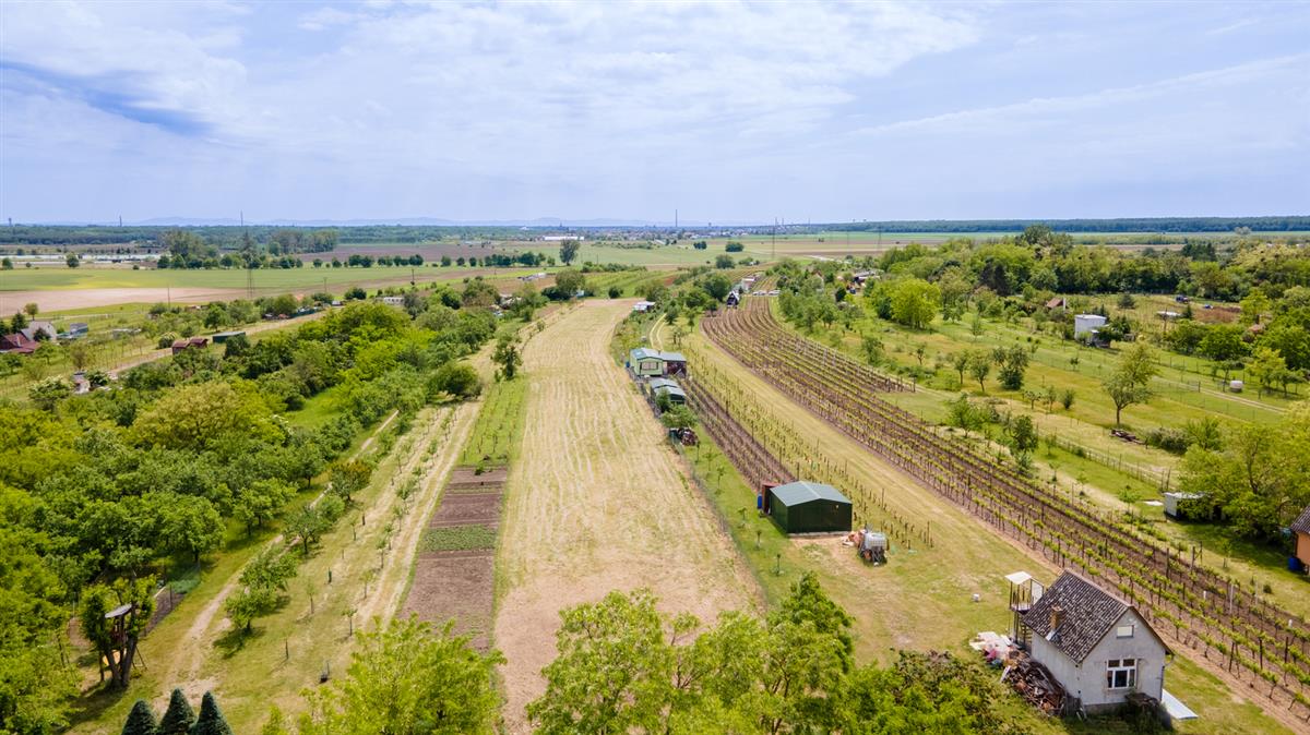 dji-0269-hdr-1.jpg